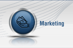 Value of Internet Marketing Experts in Present Economy